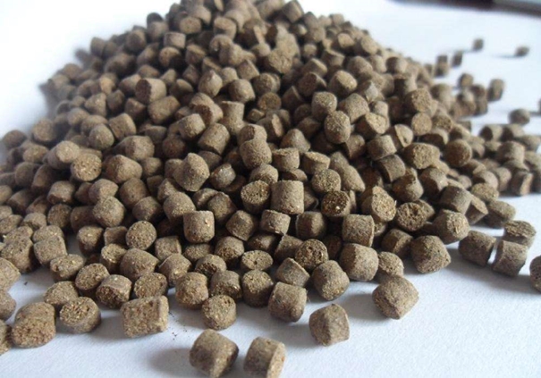 1646041155113253.jpg 代理進(jìn)口飼料報(bào)關(guān)_副本.jpg