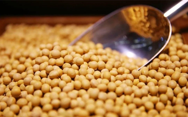 大豆進口清關(guān)代理